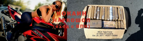 гашик Пестово