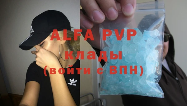 гашик Пестово