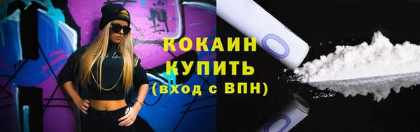 гашик Пестово