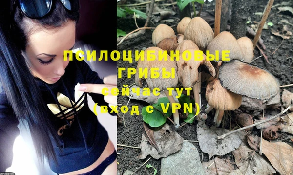 гашик Пестово