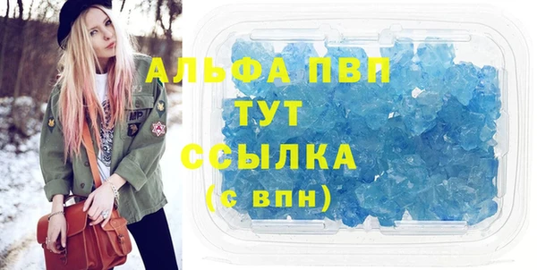 гашик Пестово