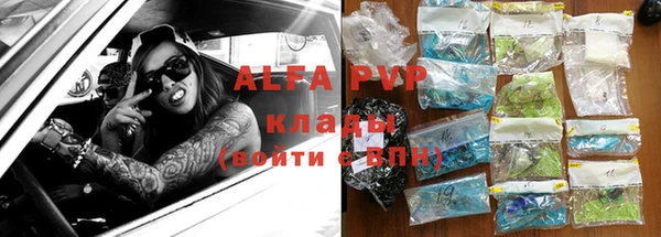 гашик Пестово