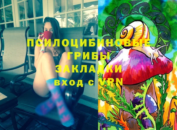 мдпв Пересвет