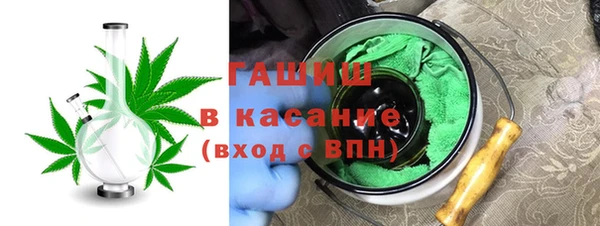гашик Пестово