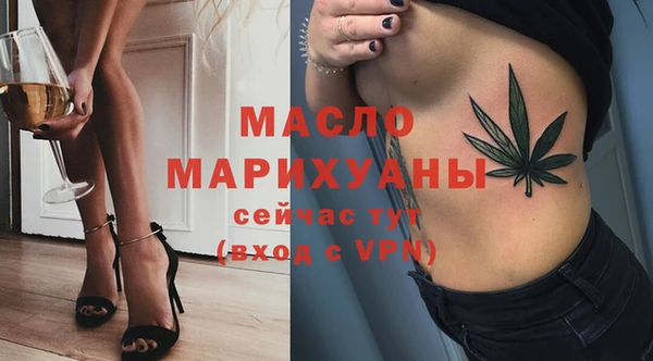 гашик Пестово