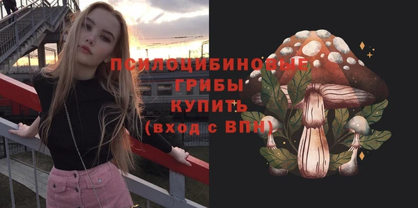 мдпв Пересвет
