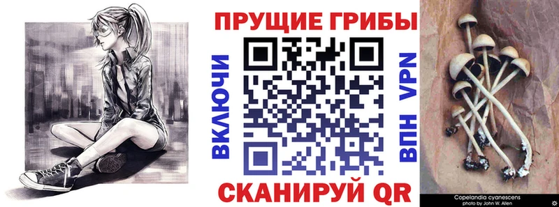 Псилоцибиновые грибы прущие грибы  Купить где  Ермолино 